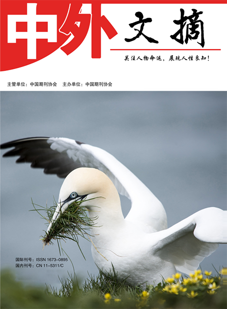 中外文摘